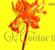 enter the dragon flyer - daffodil